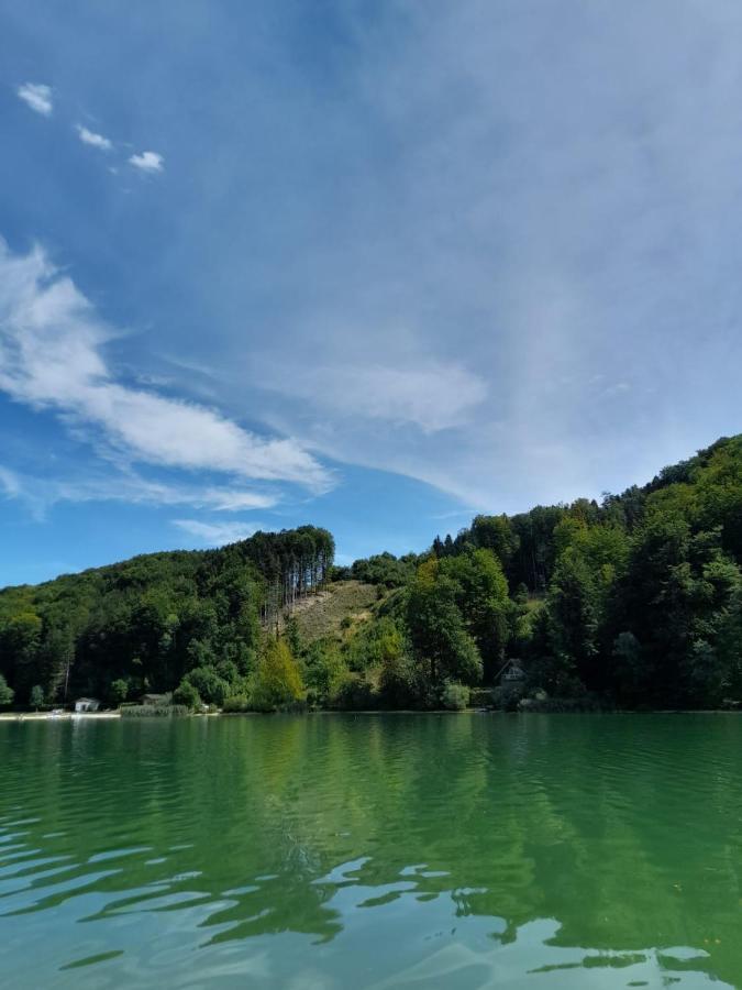 Mobilheim Chalet Bei Georg Seekirchen am Wallersee Dış mekan fotoğraf